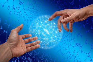 开云中国-德国仰泳项目技术稳定提升，德国仰泳项目技术稳定提升方案